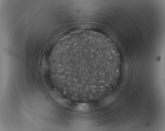 X0000113060091200910091154