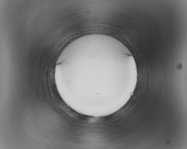 X0000113060092200910091154