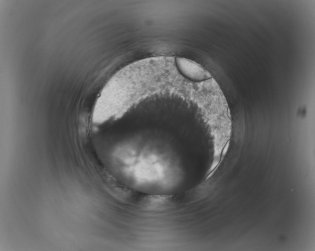 X0000113060093200910091154