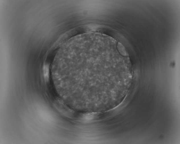 X0000113060094200910091154