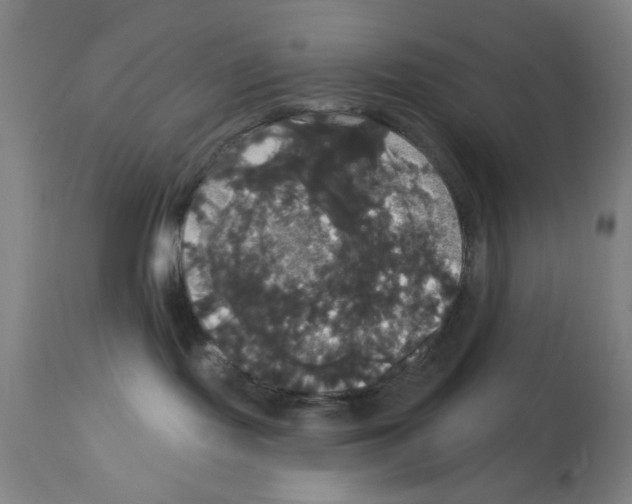 X0000113060095200910091154