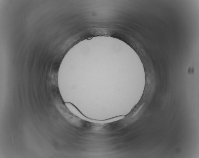 X0000113060096200910091154