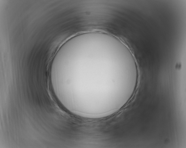 X0000113060097200910091153