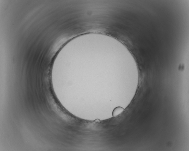 X0000113060098200910091153