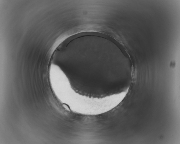 X0000113060099200910091153