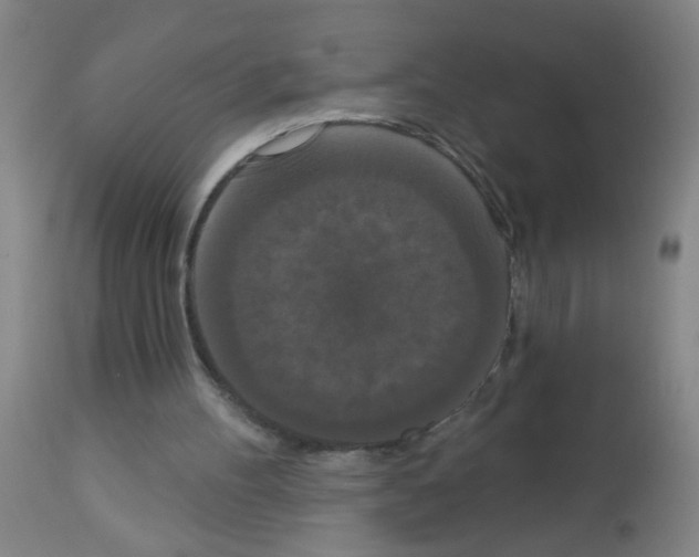 X0000113060100200910091153