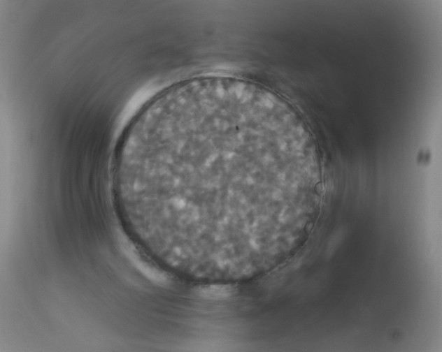 X0000113060102200910091153