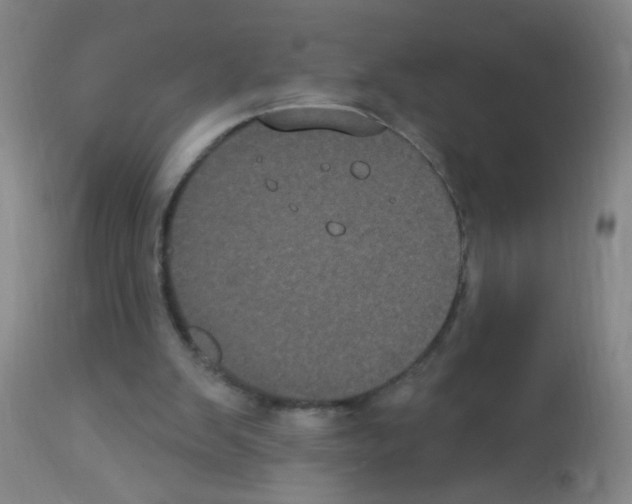 X0000113060103200910091153