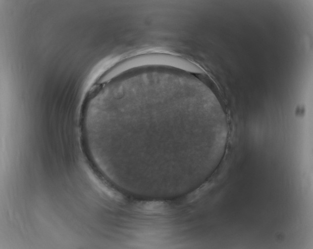 X0000113060104200910091153