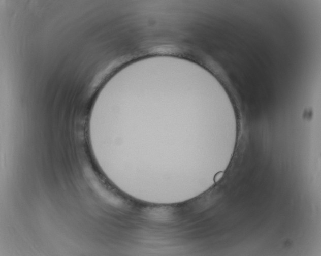 X0000113060106200910091153