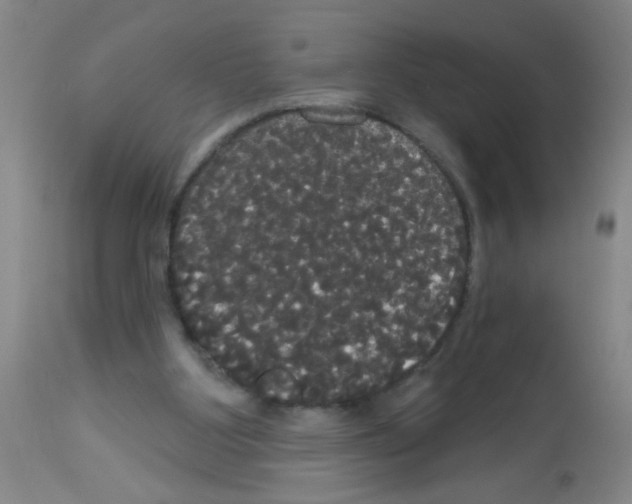 X0000113060107200910091153