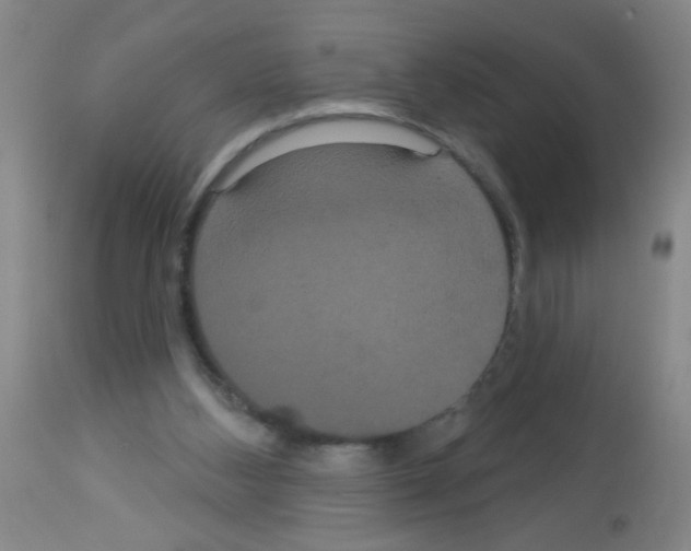 X0000113060108200910091153
