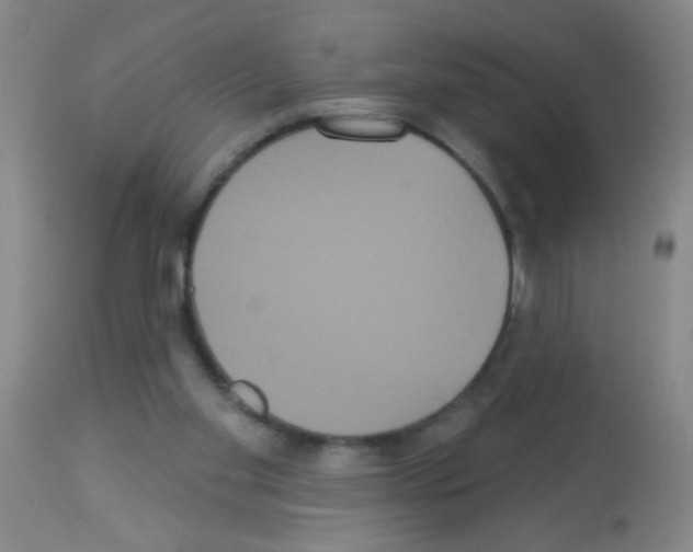 X0000113060109200910091153
