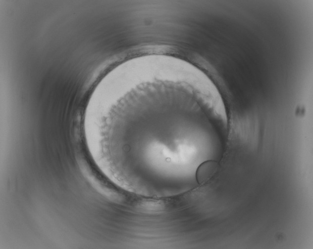 X0000113060110200910091153