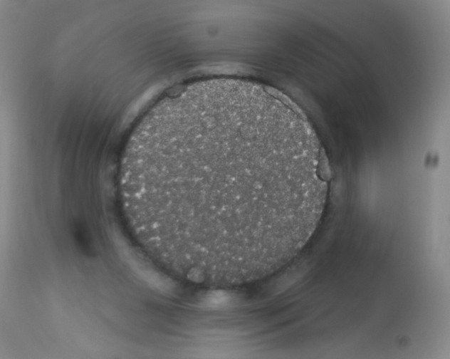 X0000113060111200910091153
