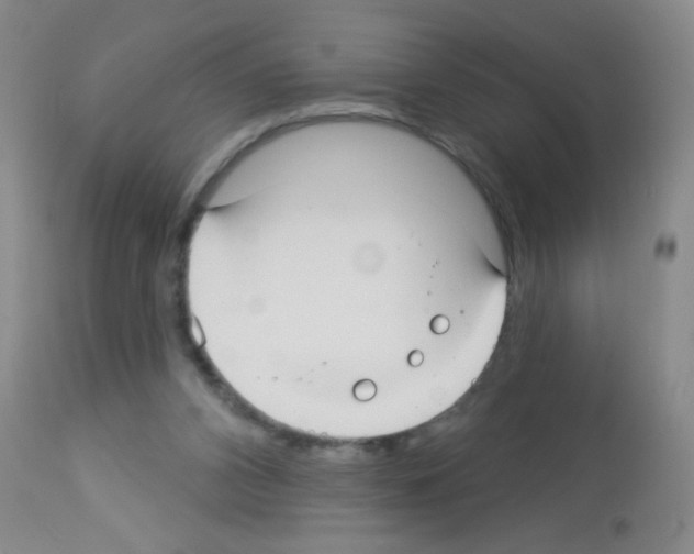 X0000113060112200910091153