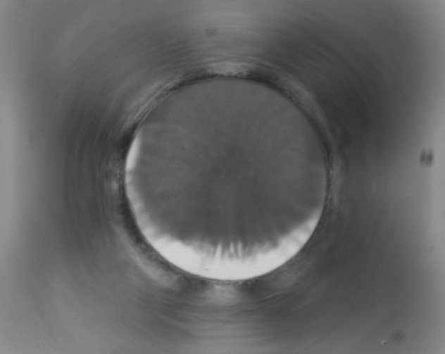 X0000113060114200910091153