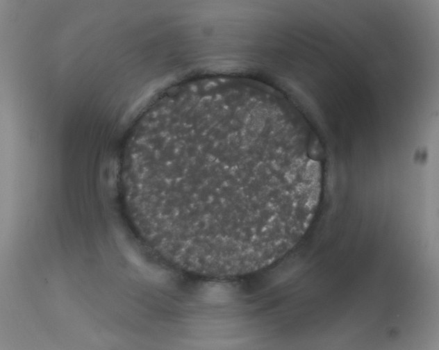 X0000113060115200910091153