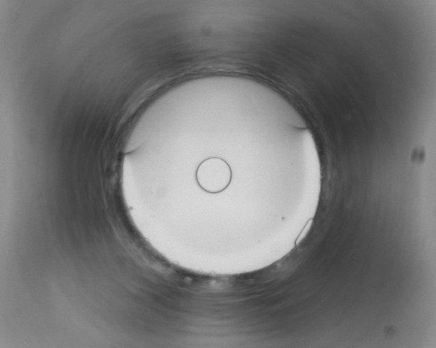 X0000113060116200910091153