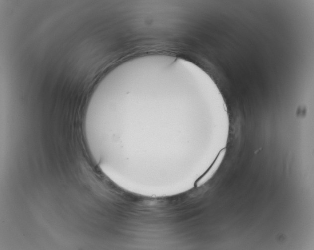 X0000113060117200910091153