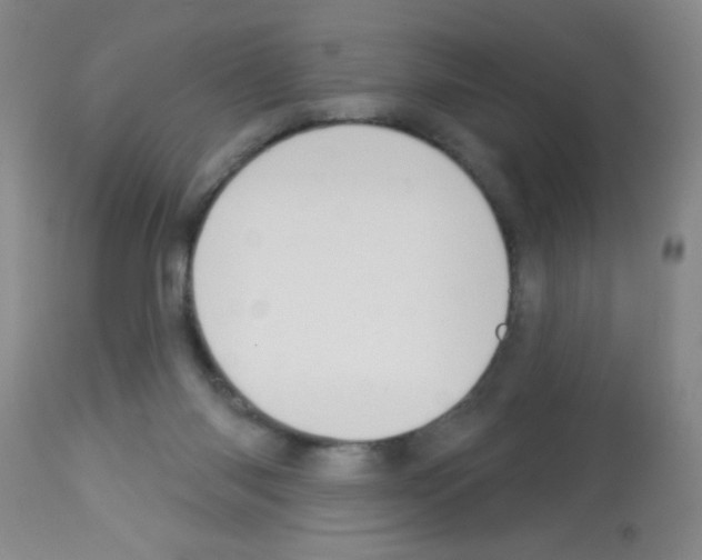 X0000113060118200910091153