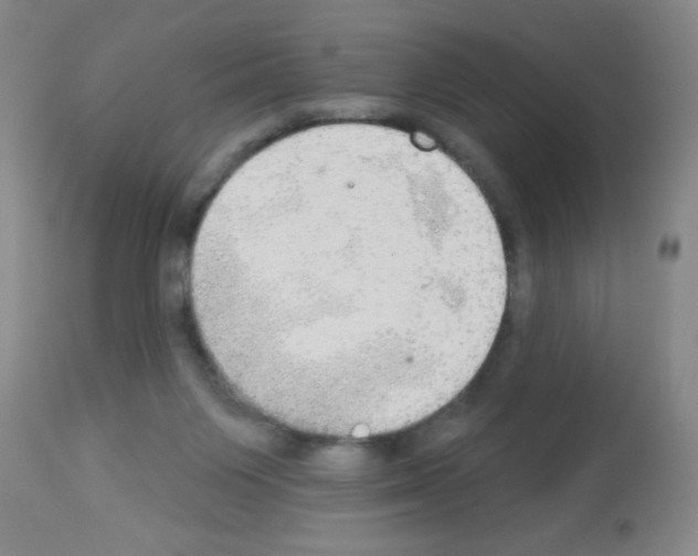 X0000113060119200910091153