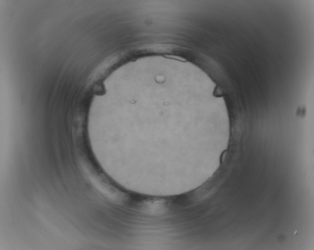 X0000113060120200910091152