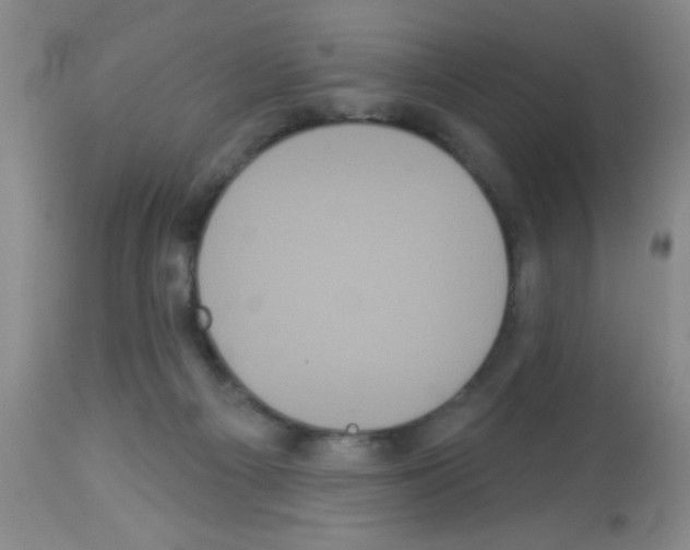 X0000113060121200910091152