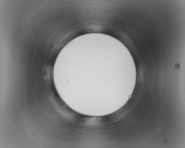 X0000113060122200910091152