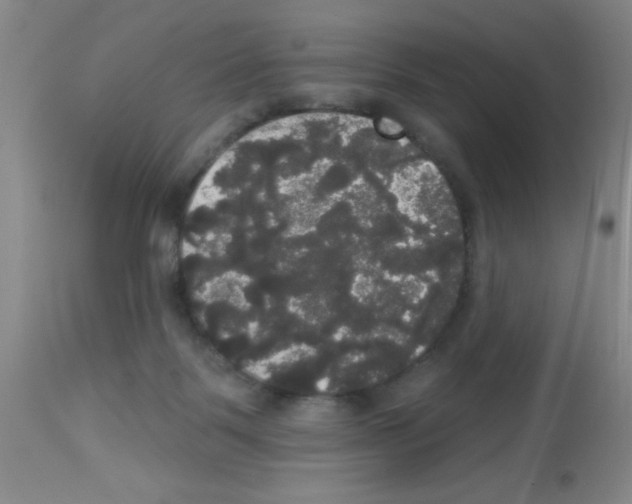 X0000113060123200910091152