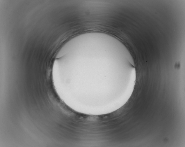 X0000113060124200910091152