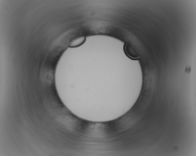 X0000113060125200910091152