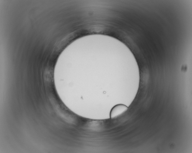X0000113060126200910091152