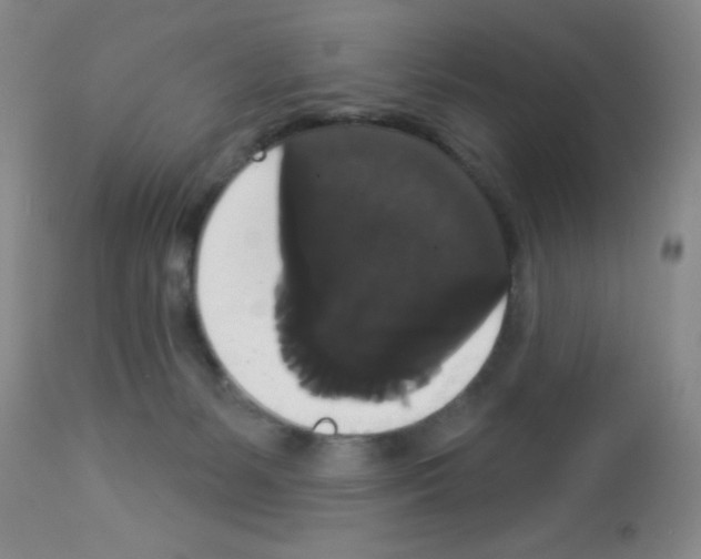 X0000113060127200910091152