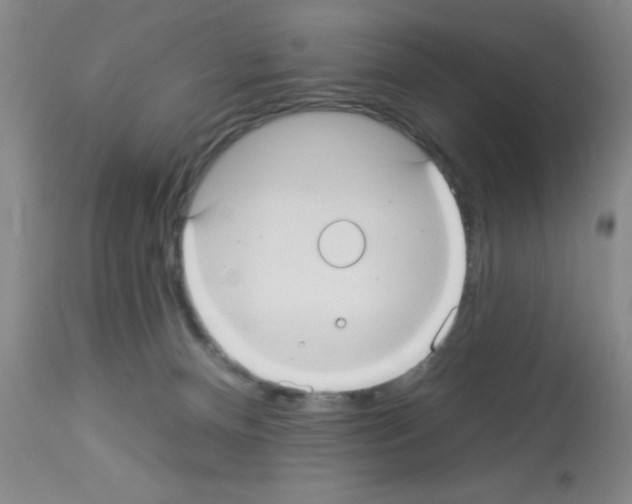 X0000113060128200910091152