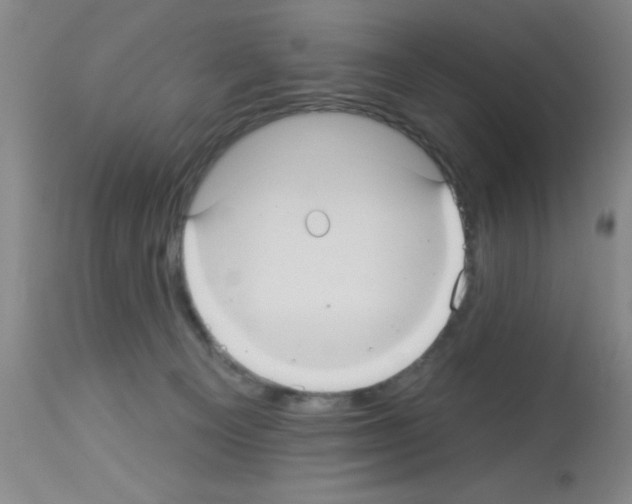 X0000113060129200910091152