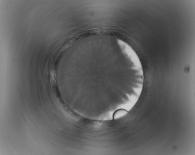 X0000113060130200910091152