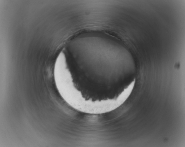 X0000113060131200910091152