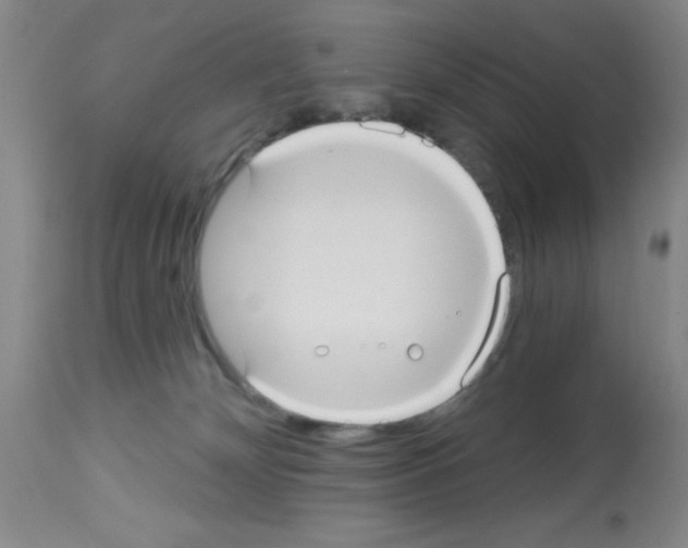 X0000113060132200910091152