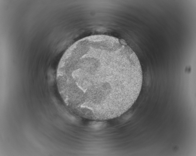 X0000113060135200910091152