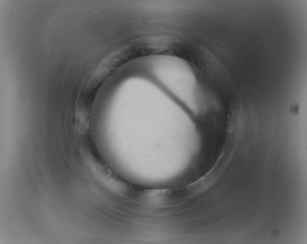 X0000113060136200910091152