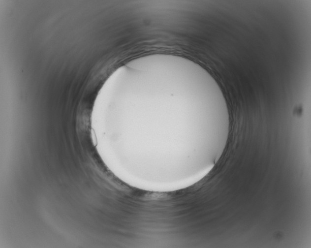 X0000113060137200910091152