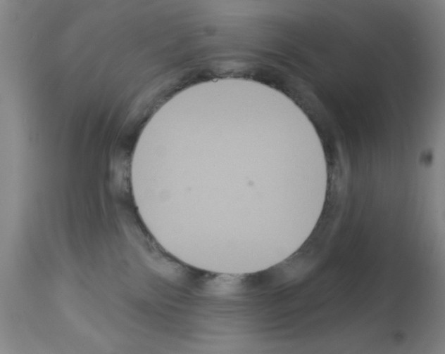 X0000113060138200910091152