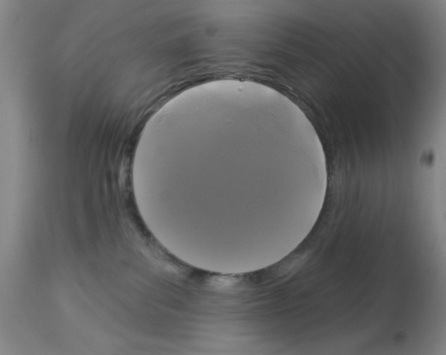 X0000113060139200910091152
