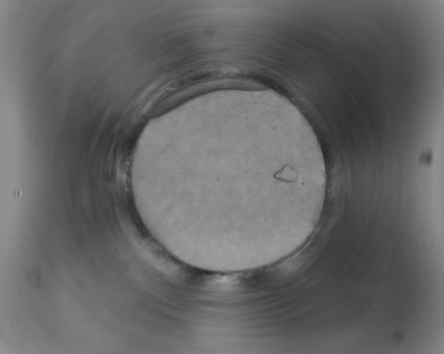 X0000113060140200910091152