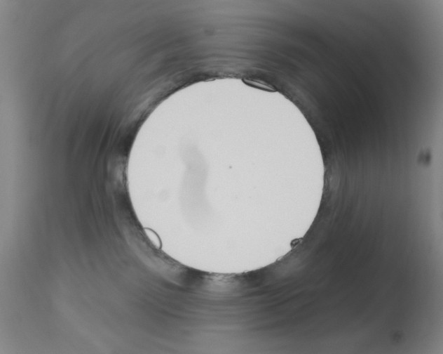 X0000113060141200910091152