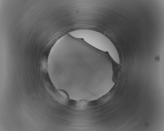 X0000113060143200910091152