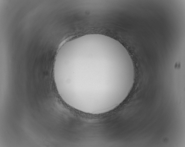 X0000113060144200910091152