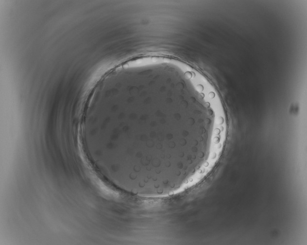 X0000113060145200910091152
