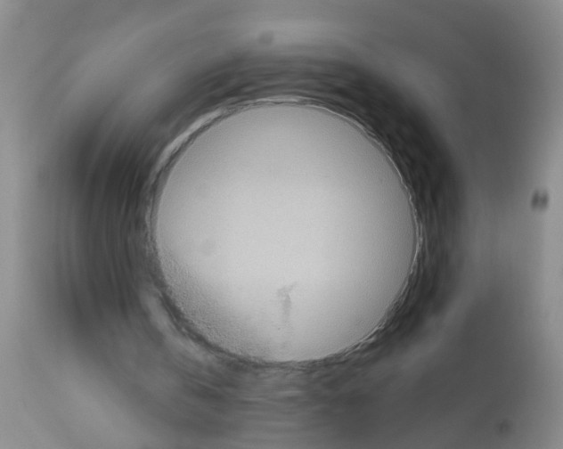 X0000113060146200910091152